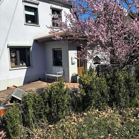 Familienhaus Fuer 8 Personen Heimbach